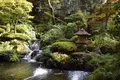 白石家の写真_89963