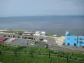 宗谷岬の写真_90061