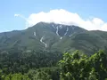 利尻島の写真_90078