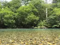 上高地の写真_90241
