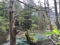 上高地の写真_90248