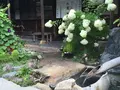 Kazeya (風屋)の写真_90286