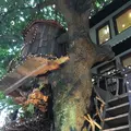 レ・グラン・ザルブルの写真_91088