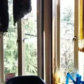 白髭のシュークリーム工房の写真_91098