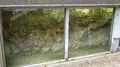 平和公園の写真_91403