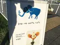 象の鼻パークの写真_91423