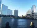 横浜港ボートパークの写真_91428