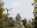 汐湯の写真_91801