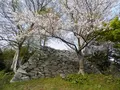 日出城趾（暘谷城趾）の写真_91805