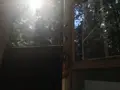 氷川キャンプ場の写真_91905