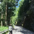 白髭大岩の写真_91906