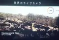 行幸地下ギャラリーの写真_91930