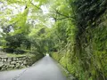 興聖寺の写真_92480