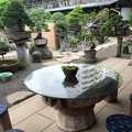 春花園の写真_92566