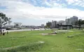象の鼻パークの写真_92610