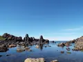 入道崎の写真_92658