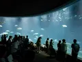 葛西臨海水族園の写真_92786