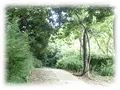 鎌倉中央公園の写真_92974