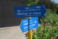 佐久島観光協会の写真_93208