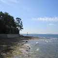 佐久島海釣りセンターの写真_93219