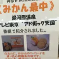 味楽庵の写真_93268