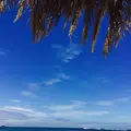 白良浜の写真_93474