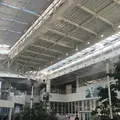 五稜郭タワーの写真_93512