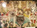 ねんねこ家の写真_93554