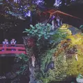 來宮神社の写真_93569