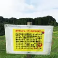 大山千枚田の写真_93841
