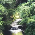 濃溝の滝の写真_93872