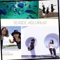 葛西臨海公園の写真_93937