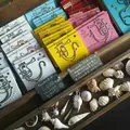 タツノオトシゴハウスの写真_94091