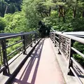 吹割の滝の写真_94172