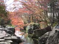 霞ヶ浦総合公園の写真_94279