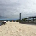 信濃川ウォーターシャトルの写真_94349