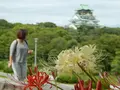 大阪城公園の写真_94944
