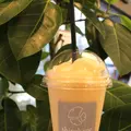 白金スイーツ(shirokanesweets)の写真_95005
