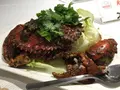 Jumbo Seafood - Riverside Pointの写真_95072