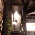 ミモザ （MIMOSA）の写真_95180