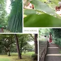 殿ヶ谷戸庭園の写真_95217