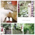 殿ヶ谷戸庭園の写真_95219