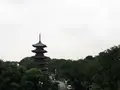 池上本門寺の写真_95341