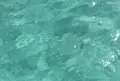 ハテの浜の写真_95382