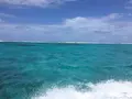ハテの浜の写真_95383