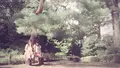 殿ヶ谷戸庭園の写真_95404