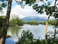 大沼国定公園の写真_95441