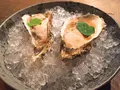Salmon & Trout（サーモンアンドトラウト）の写真_95760