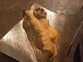 Salmon & Trout（サーモンアンドトラウト）の写真_95762