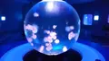 新江ノ島水族館の写真_96257